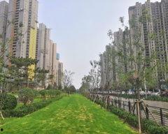 太原御景湾爆料事件视频,揭露惊人真相！