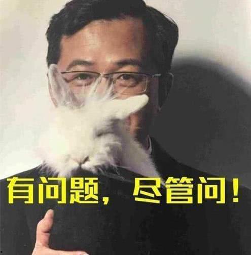 爆料狗仔的新闻,明星隐私大揭秘，幕后故事令人震惊