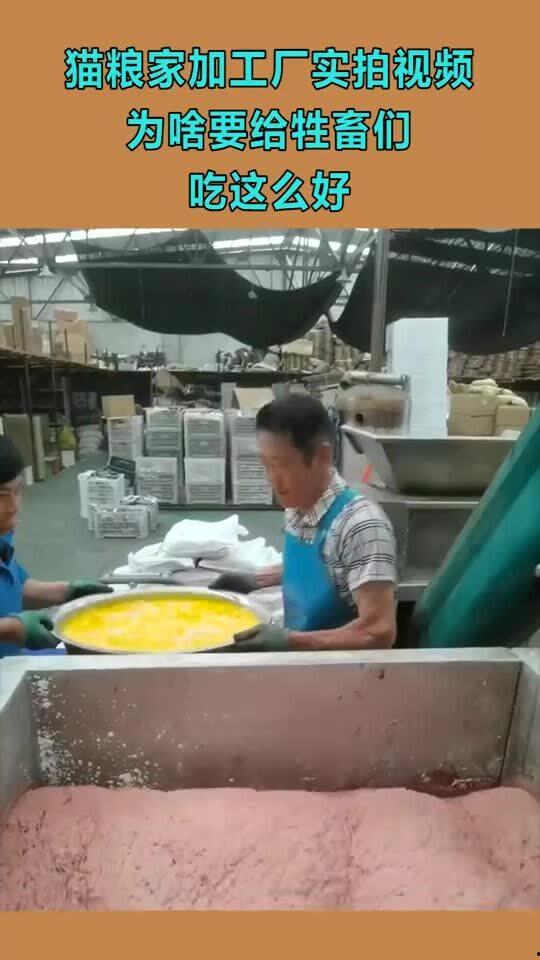 猫粮工厂爆料视频播放,揭秘生产线的真实面貌