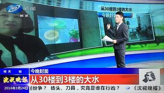 沈阳新闻最新爆料,揭秘重大事件背后真相