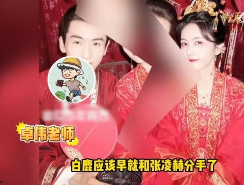 白鹿助力爆料视频是真的吗,真相揭秘还是虚假炒作？