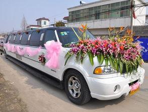 南宁租车爆料最新消息,揭秘价格波动与热门车型排行