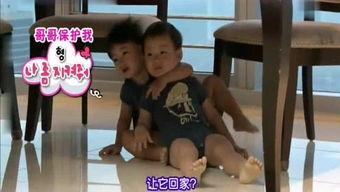 娱乐爆料八卦全集,爆料八卦全集大起底