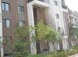 沈阳房地产爆料最新消息,最新爆料揭示市场走向