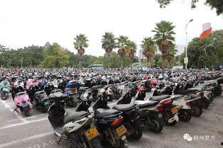 电动车事件最新爆料新闻,揭秘事故真相与责任归属