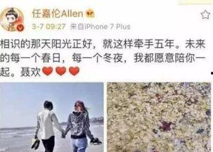 任嘉伦和伊卡璐最新爆料,揭秘明星幕后故事与时尚潮流风向标