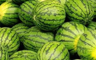 免费的吃瓜网,带你畅游娱乐资讯海洋