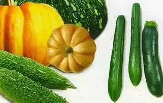 免费的吃瓜网,带你畅游娱乐资讯海洋