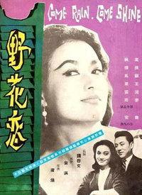 野花电影在线观看,探寻自然之美，共赴心灵之旅