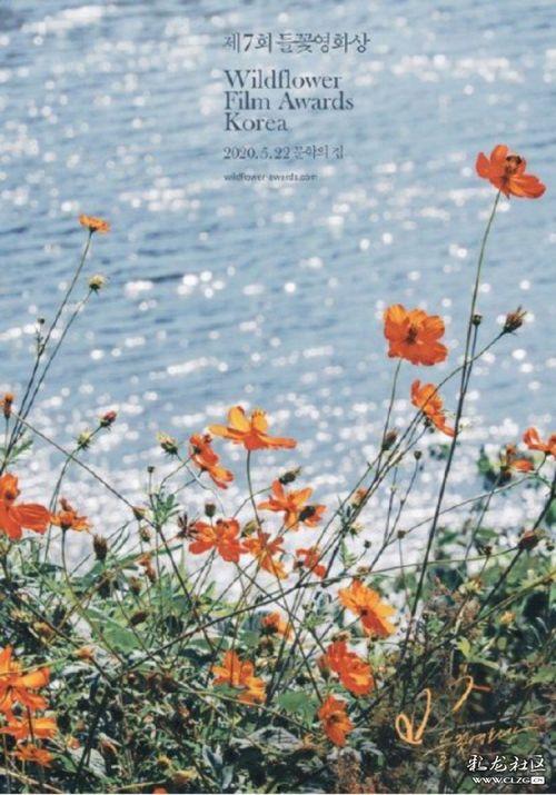 野花电影在线观看,探寻自然之美，共赴心灵之旅