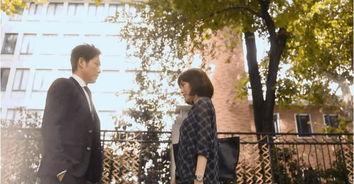 娱乐追剧吃瓜群众,娱乐追剧吃瓜群众的欢乐盛宴