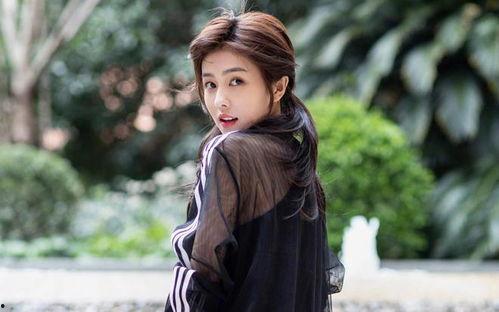 娱乐爆料 白鹿刘亦菲,白鹿与刘亦菲娱乐圈幕后故事大揭秘