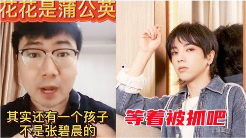 爆料导演事件视频,揭秘事件背后真相