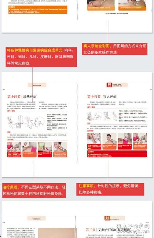 教材最新爆料网站大全图片,一图览尽教育资源新风向