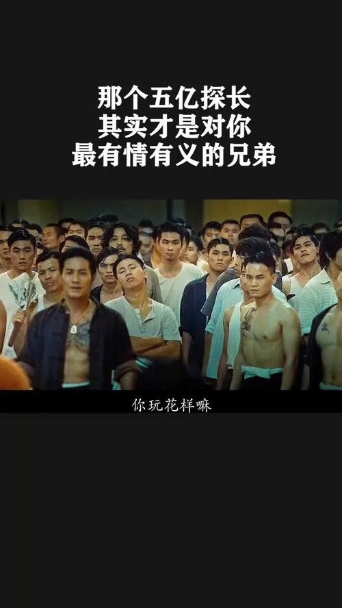 义兄弟在线观看观看,在线重温兄弟情深