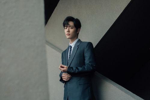 杨紫肖战八卦爆料视频播放,揭秘明星幕后故事