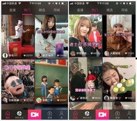 杭州爆料今日头条视频回放,今日头条视频回放揭示惊人内幕