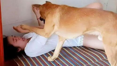 狗和女人视频在线观看,治愈系视频在线观看