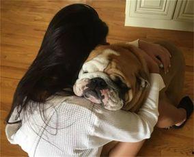 狗和女人视频在线观看,治愈系视频在线观看