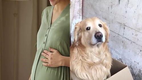 狗和女人视频在线观看,治愈系视频在线观看