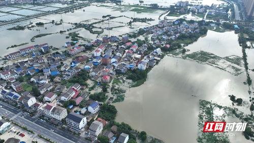 汨罗最新爆料消息,揭秘背后惊人真相