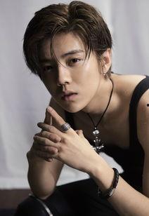 爆料鹿晗父母养狗视频,温馨家庭生活引网友热议