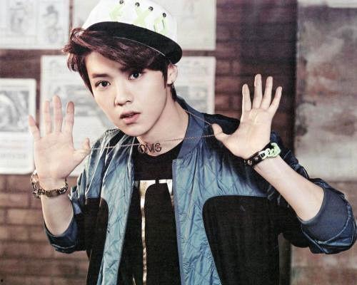 爆料鹿晗父母养狗视频,温馨家庭生活引网友热议