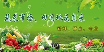 吃瓜海报素材下载网站免费,轻松打造潮流视觉盛宴