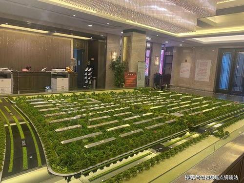 邵东八卦爆料最新消息,最新劲爆消息揭秘！