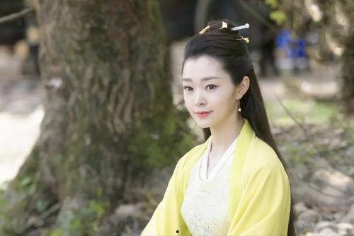 圈内人爆料宋轶视频大全,圈内人爆料，精彩瞬间大揭秘