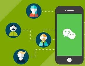 微信群视频可爆料吗知乎,揭秘知乎背后的真实故事