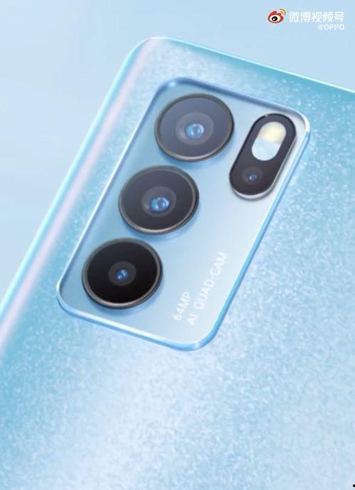 白鲨最新爆料视频下载,揭秘神秘视频背后的惊人真相