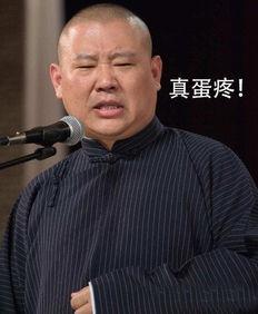 郭德纲爆料黑粉视频播放,揭秘网络暴力背后的真相