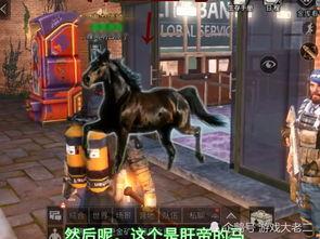 明日之后最新爆料413,全新内容揭秘，生存挑战再升级！