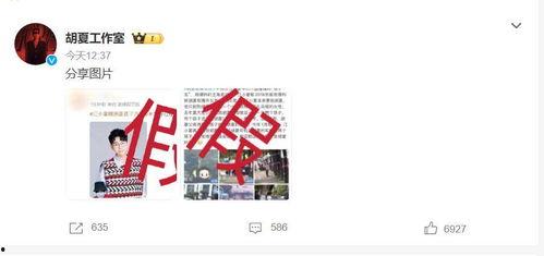 闽南网新闻爆料有哪些,聚焦社会热点，揭示事件真相