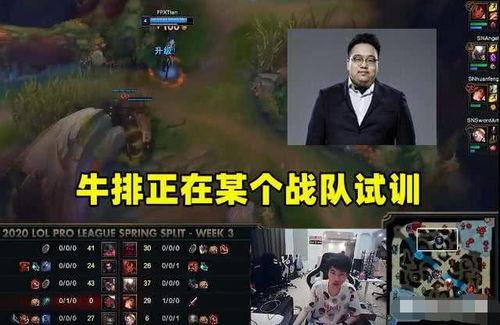 最新战队爆料视频播放在线观看,精彩瞬间在线观看，揭秘战队神秘面纱