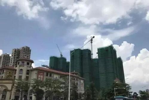 惠州大亚湾最新爆料,揭秘神秘项目与未来发展规划