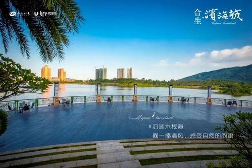 惠州大亚湾最新爆料,揭秘神秘项目与未来发展规划