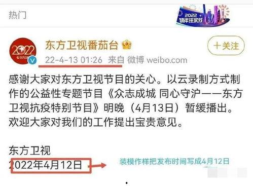 瓦工内情爆料视频大全,视频大全背后的真实故事
