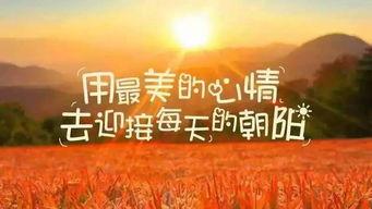 西安早安爆料事件最新,真相揭秘，网络舆论漩涡中的法律与道德边界