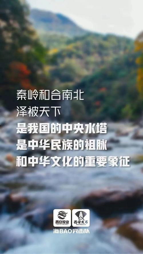 西安早安爆料事件最新,真相揭秘，网络舆论漩涡中的法律与道德边界