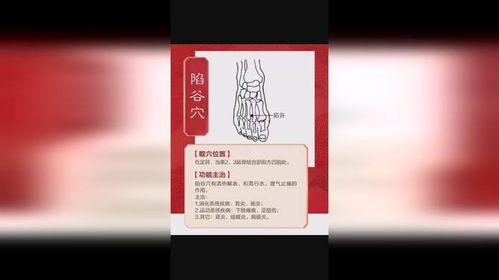 养生之道爆料视频大全集,视频大全集精华汇总