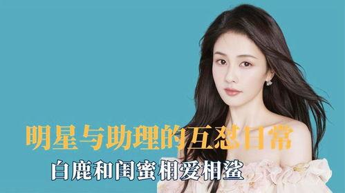 助理爆料白鹿视频大全,白鹿视频大全，精彩瞬间大揭秘！