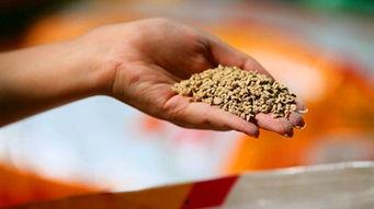 饲料安全爆料视频