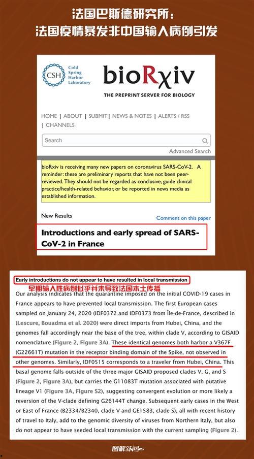 法国新冠病毒最新爆料
