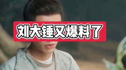 刘大锤爆料大鹏视频合集,大鹏视频合集背后的精彩瞬间