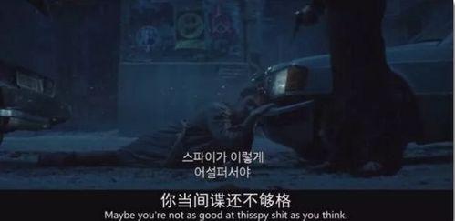 极寒之城完整在线观看,揭秘冷酷杀手背后的温情世界