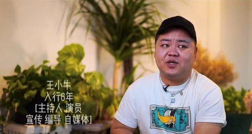 业内人士爆料娱乐圈,揭秘明星幕后真相与幕后黑手