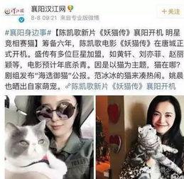 天涯爆料蒋艳被打视频,天涯爆料引发热议