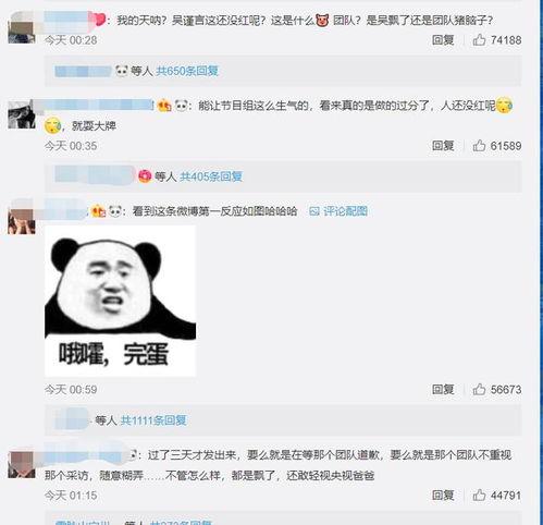 吴瑾言最新爆料消息视频,揭秘幕后的真实故事